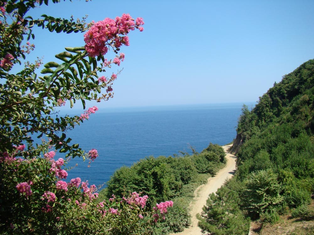 Cărare obişnuită din Sfântul Munte