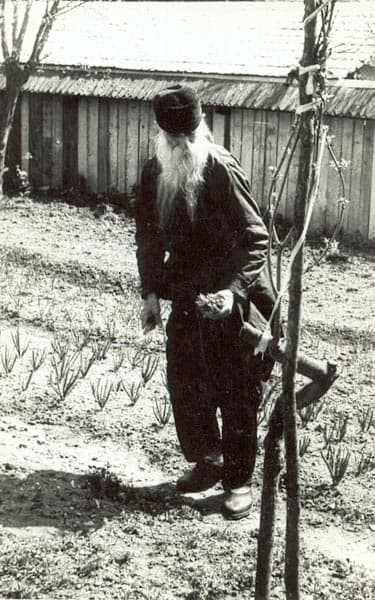 Părintele ELEFTERIE în grădina mănăstirii Agapia